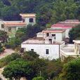 南塘村(廣東省饒平縣湯溪鎮南塘村) 南塘村(廣東省饒平縣湯溪鎮南塘村)