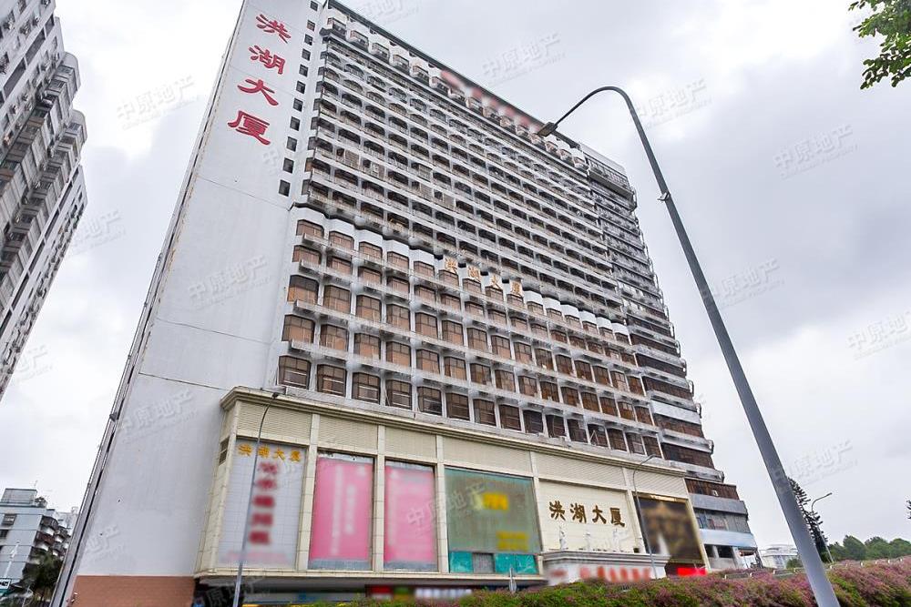 洪湖大廈 洪湖大廈