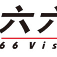 六六視覺科技股份有限公司