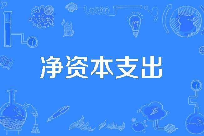 淨資本支出