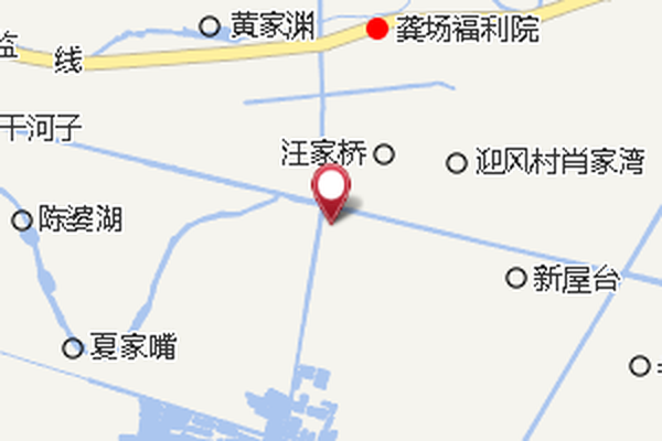 王大垸 王大垸