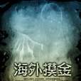 海外摸金