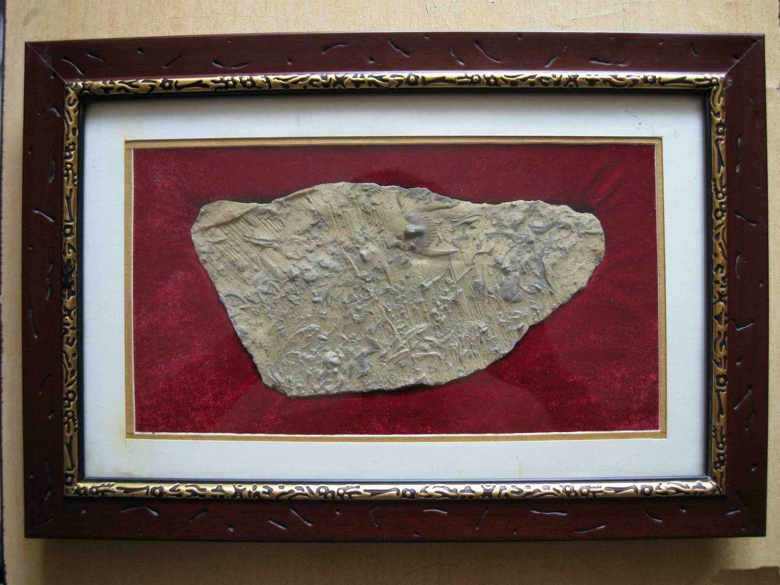 燕子石(三葉蟲化石)