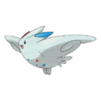 波克基斯(波克鳥) 波克基斯(波克鳥)