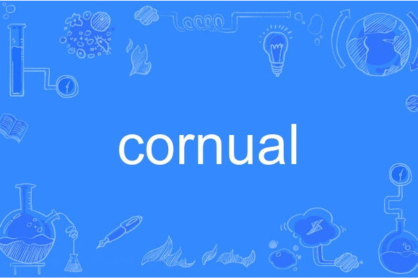 cornual cornual
