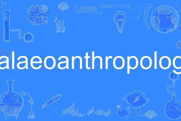 palaeoanthropology palaeoanthropology