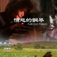 憤怒的鋼琴(李寶琪執導電影) 憤怒的鋼琴(李寶琪執導電影)
