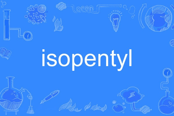 isopentyl isopentyl