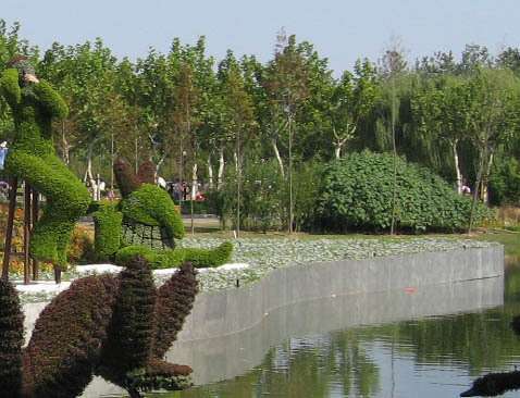 黃渡公園 黃渡公園