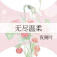 無盡溫柔 無盡溫柔