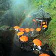 彩虹谷(臨沂市沂水縣景區) 彩虹谷(臨沂市沂水縣景區)