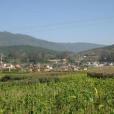 卜台村 卜台村