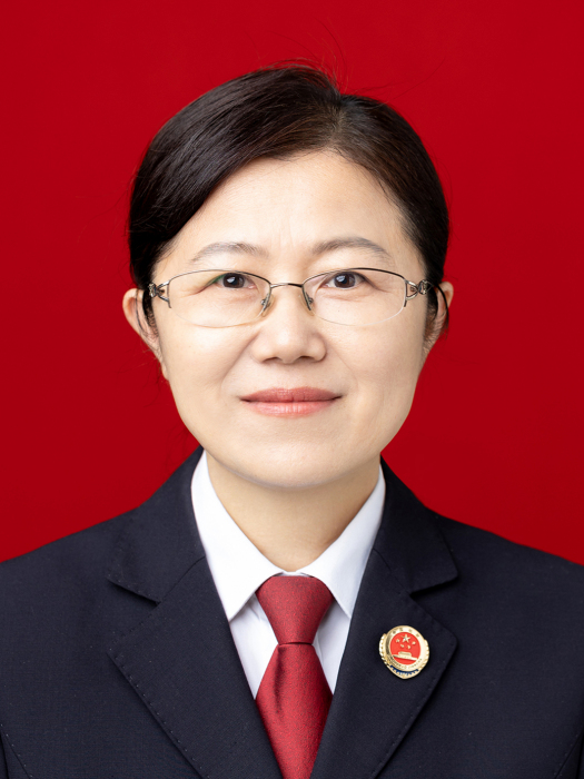 陳彥(江蘇省海安市人民檢察院原副檢察長) 陳彥(江蘇省海安市人民檢察院原副檢察長)