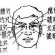 童子養目功 童子養目功