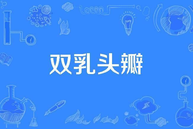 雙乳頭瓣 雙乳頭瓣