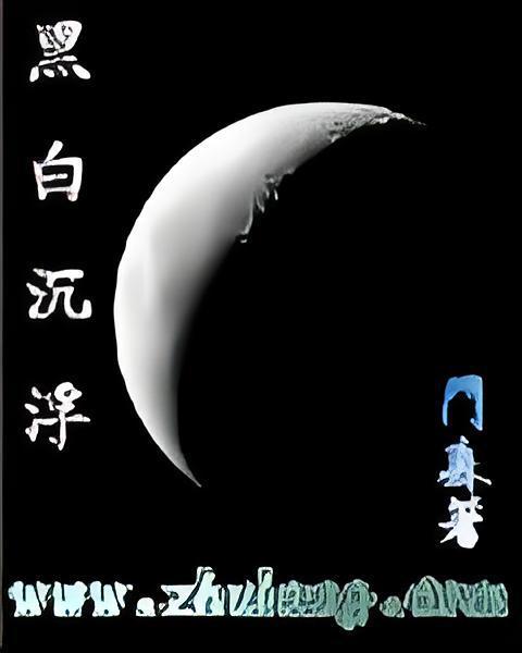 黑白沉浮 黑白沉浮