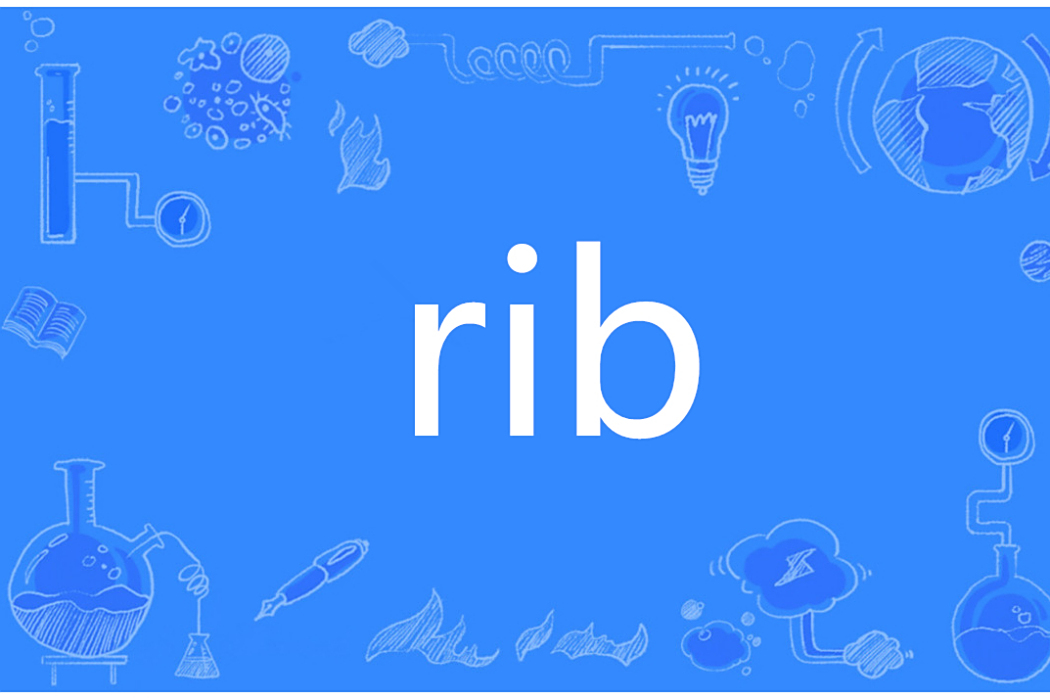Rib(英語單詞) Rib(英語單詞)
