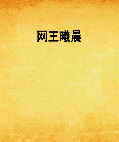 網王曦晨 網王曦晨