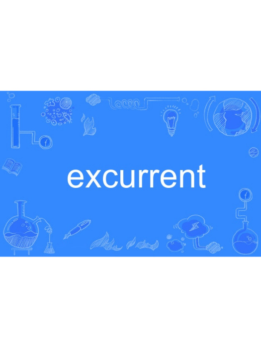 excurrent excurrent