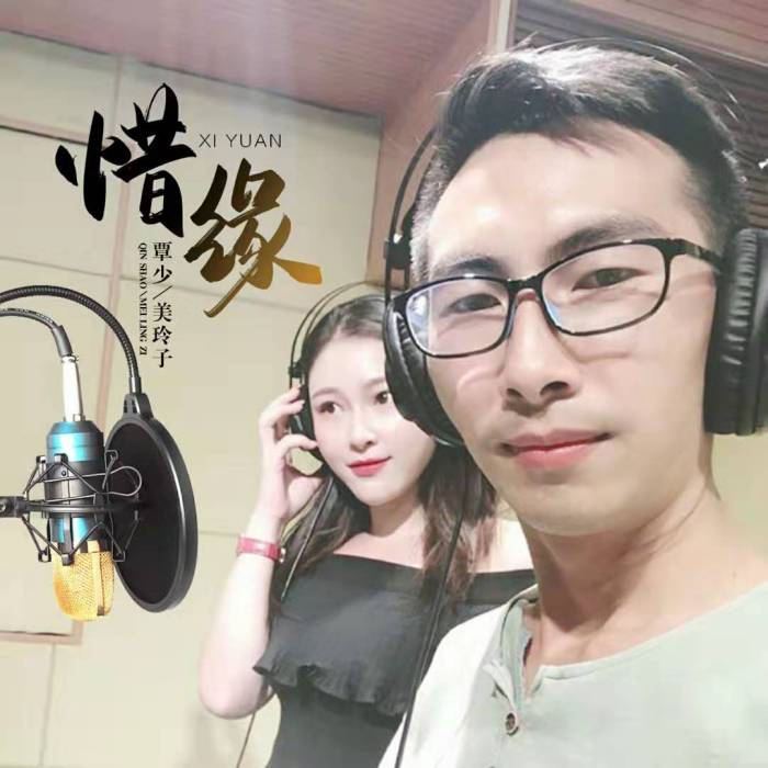 惜緣(覃少與美玲子演唱的歌曲) 惜緣(覃少與美玲子演唱的歌曲)