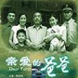 親愛的爸爸(陳樹青主演電影) 親愛的爸爸(陳樹青主演電影)