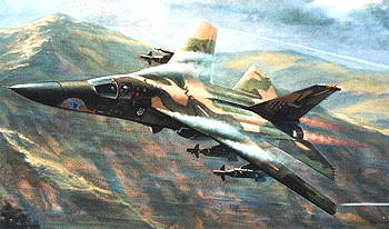 F-111 Ardvark（土豚）