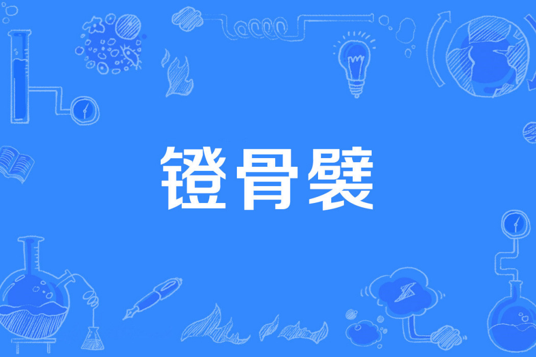 鐙骨襞 鐙骨襞