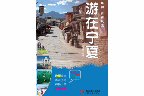 游在寧夏 游在寧夏
