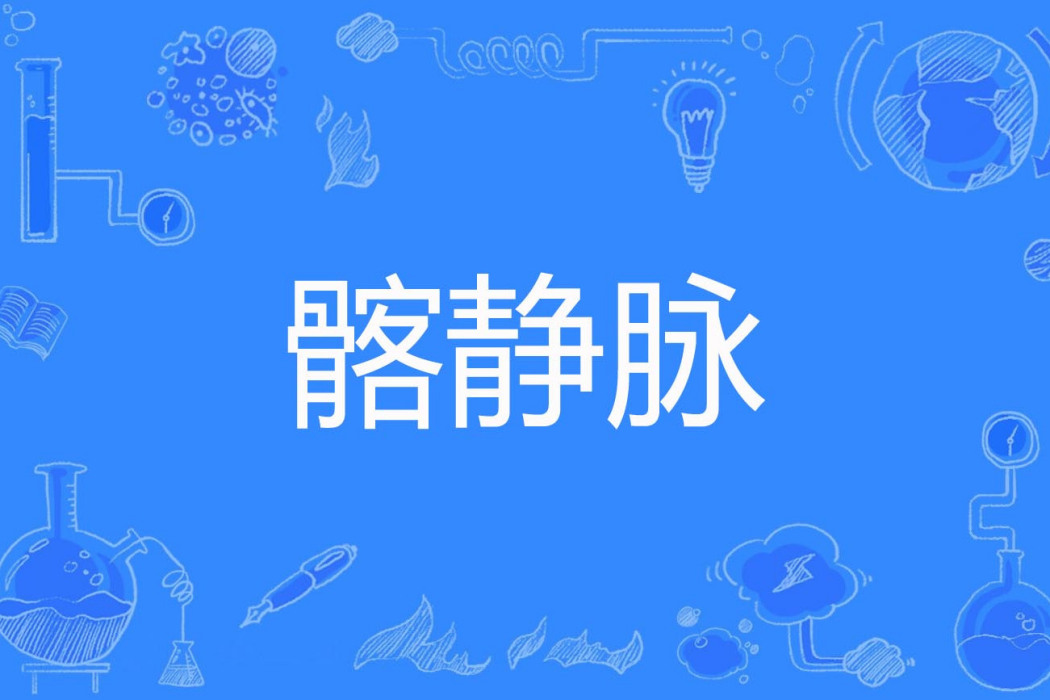 髂靜脈 髂靜脈
