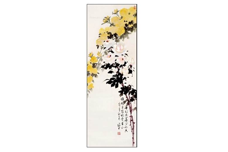 白月季 白月季