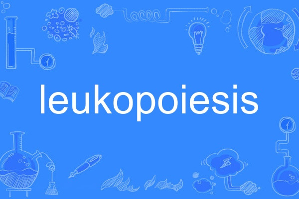 leukopoiesis leukopoiesis