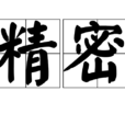 精密(漢語詞語) 精密(漢語詞語)