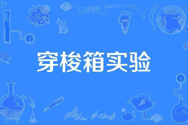 穿梭箱實驗 穿梭箱實驗