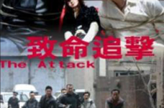 致命追擊(2008年中國犯罪電影)