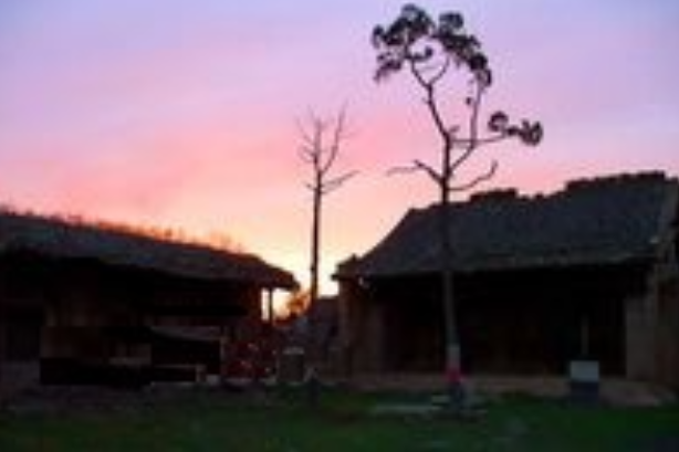 禪慧寺 禪慧寺