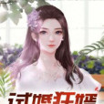 試婚狂婿 試婚狂婿