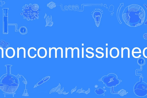 noncommissioned noncommissioned