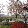 鳳鳴湖 鳳鳴湖