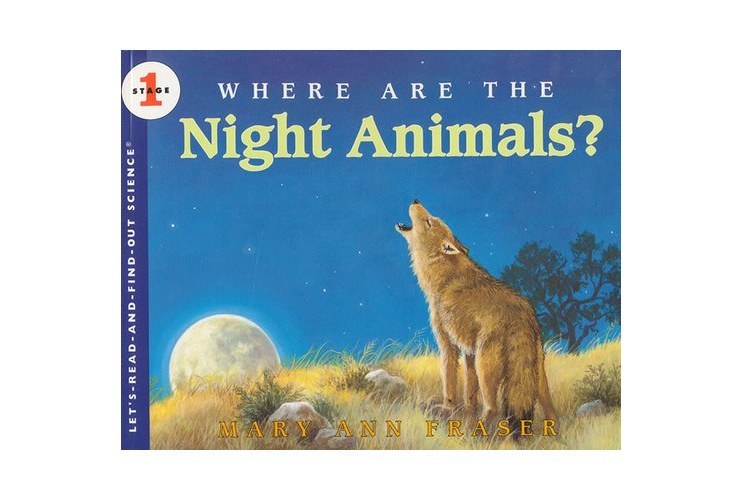 Where Are the Night Animals?