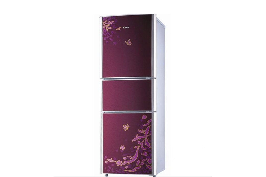 韓電BCD-230CH3 韓電BCD-230CH3