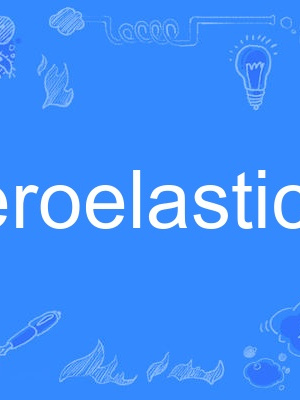aeroelasticity aeroelasticity