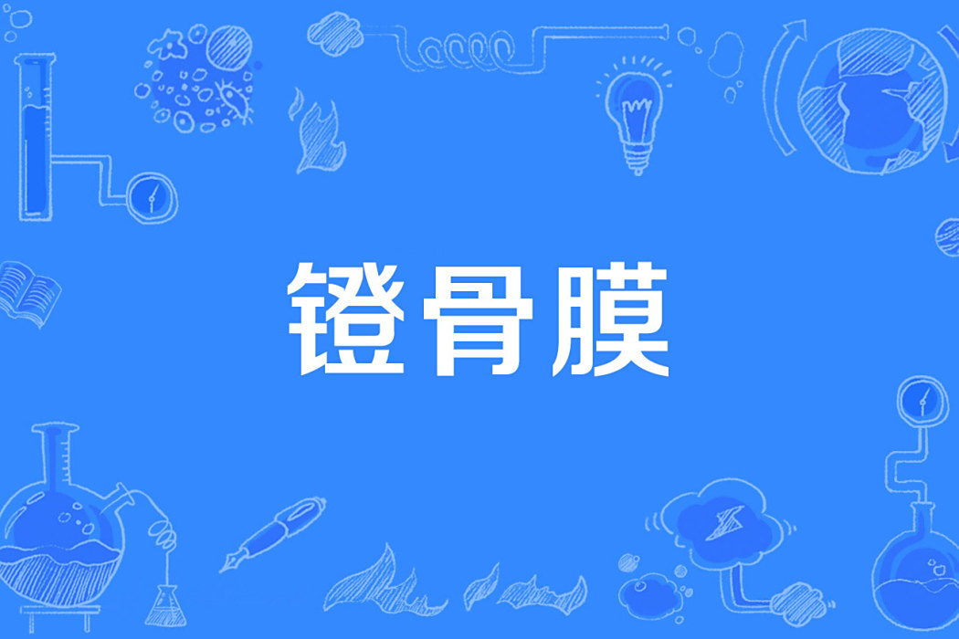 鐙骨膜