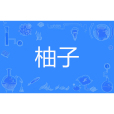 柚子(松子著網路小說)