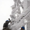 雪災