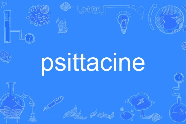 psittacine psittacine