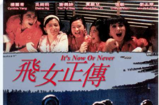 飛女正傳(1992張敏主演的香港電影)