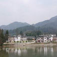 興隆鎮(重慶市南川區興隆鎮) 興隆鎮(重慶市南川區興隆鎮)