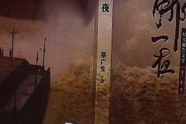 那一夜(2008年作家出版社出版的圖書) 那一夜(2008年作家出版社出版的圖書)