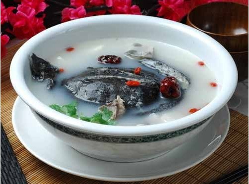 紅棗甲魚湯