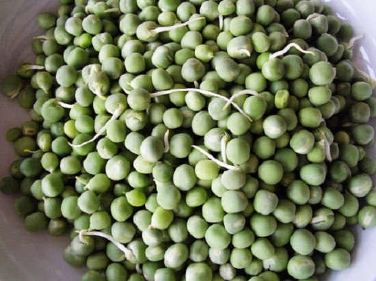 椿芽豌豆